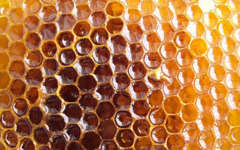 honeycomb customer loyalty is sticky